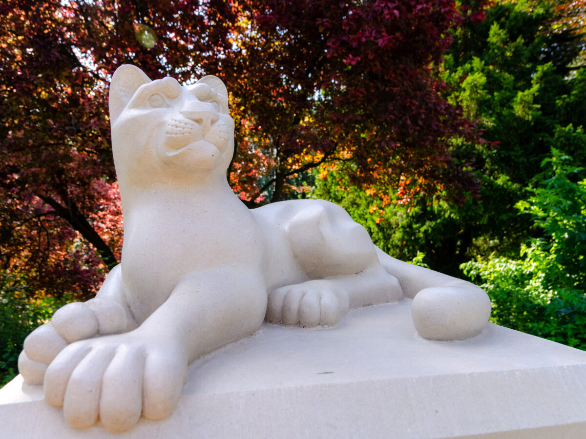 Lioness sculpture