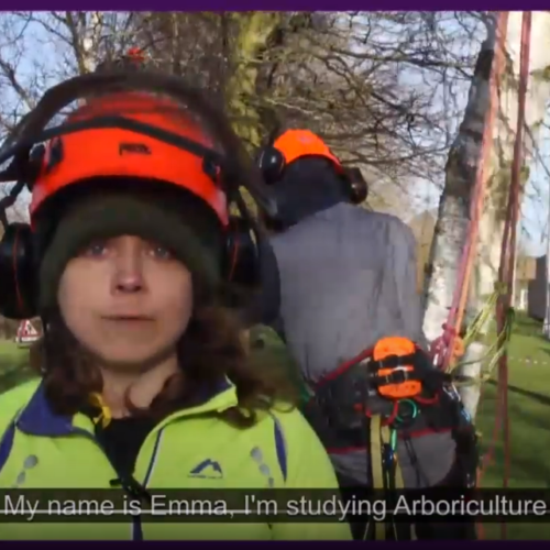 Emma Arboriculture