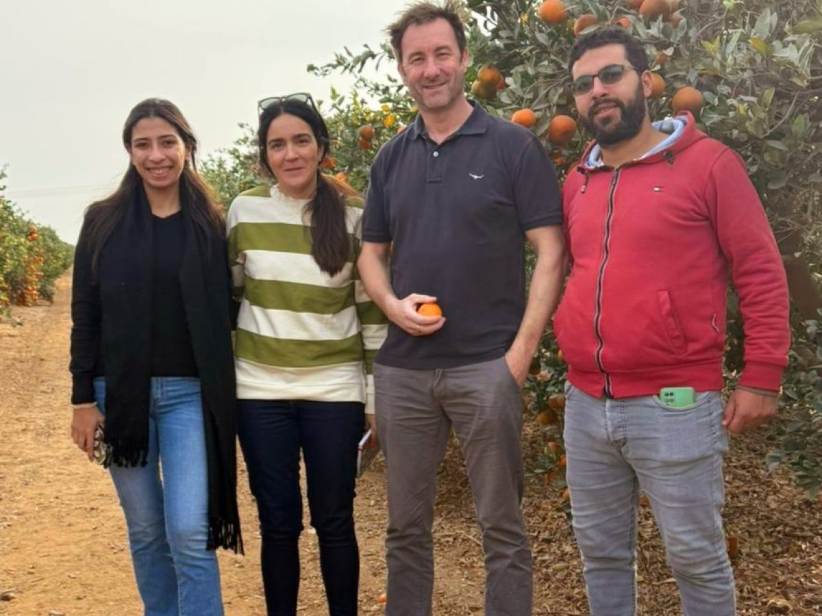 Harvey on a recent trip to citrus growers in Egypt to check quality of fruit, standards in their packing facilities, farm standards & environmental management.