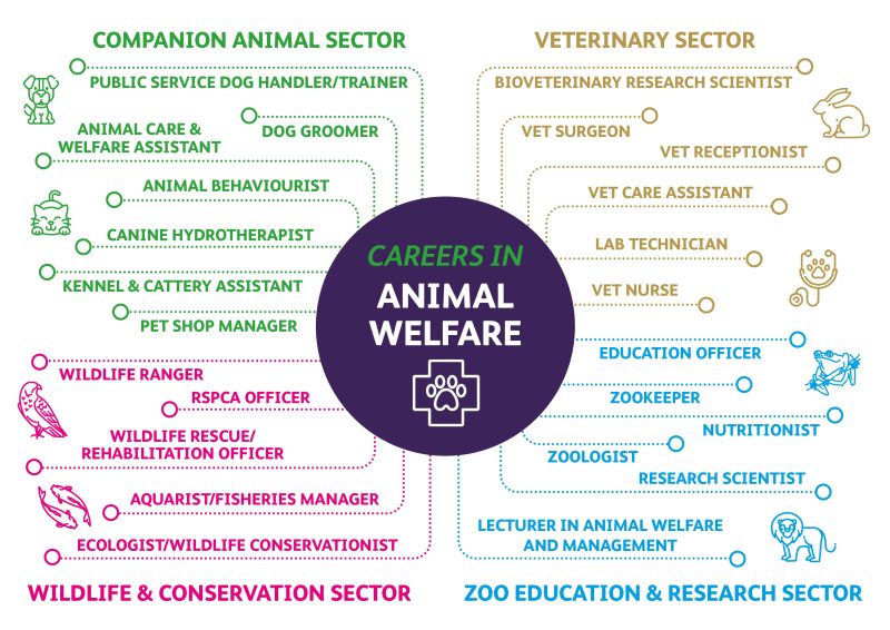 DH305 Animal Welfare Careers Map A4