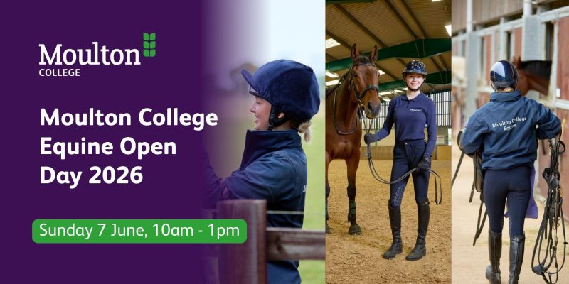 Equine Open Day event banner