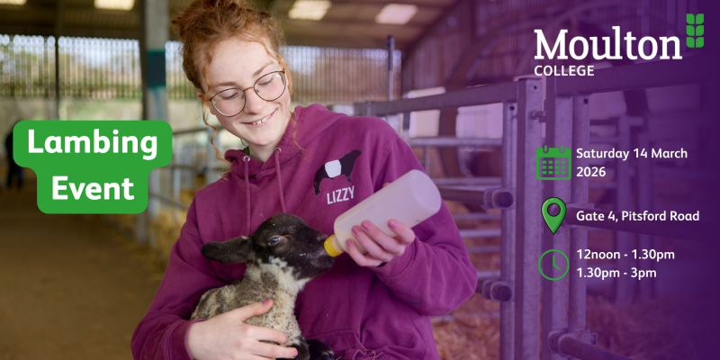 Lambing Event promo 1