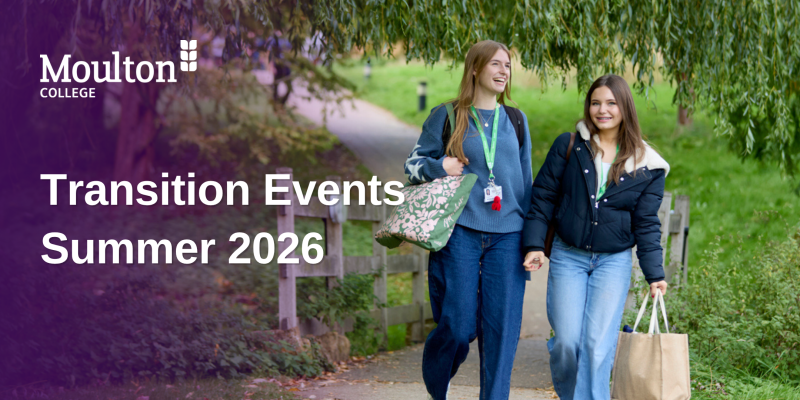 Transition Events Collection banner 1