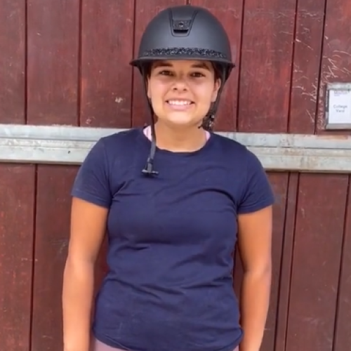 Olivia - Equine Management